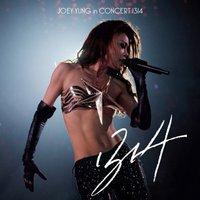 Joey Yung in corcert 1314