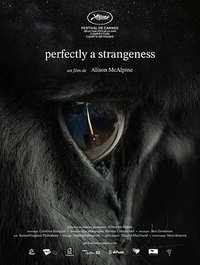 Perfectly a Strangeness