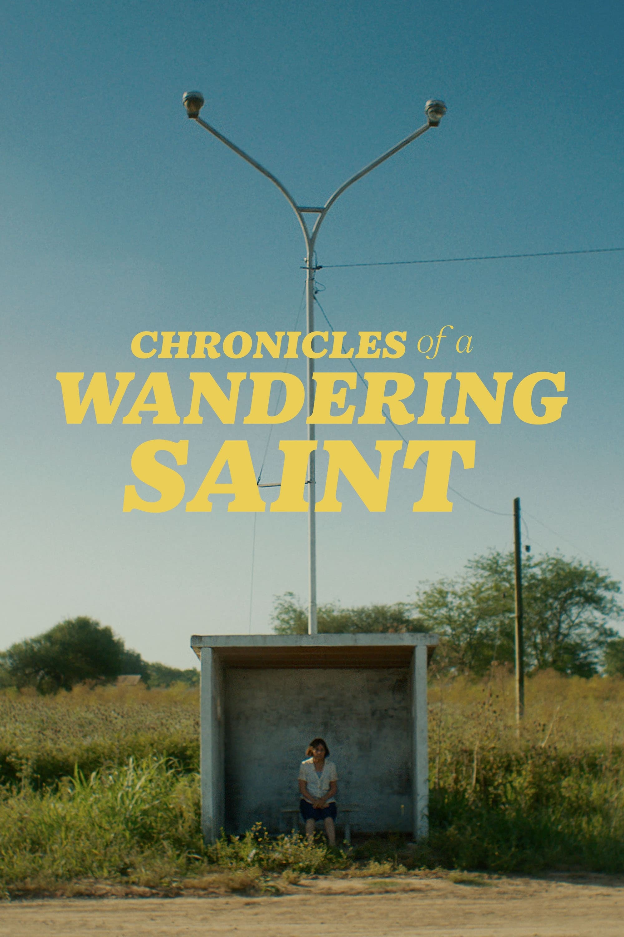 Chronicles of a Wandering Saint