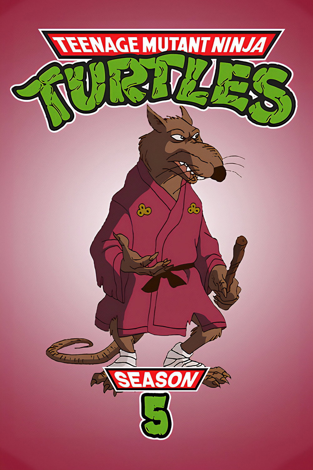 Teenage Mutant Ninja Turtles Season 5