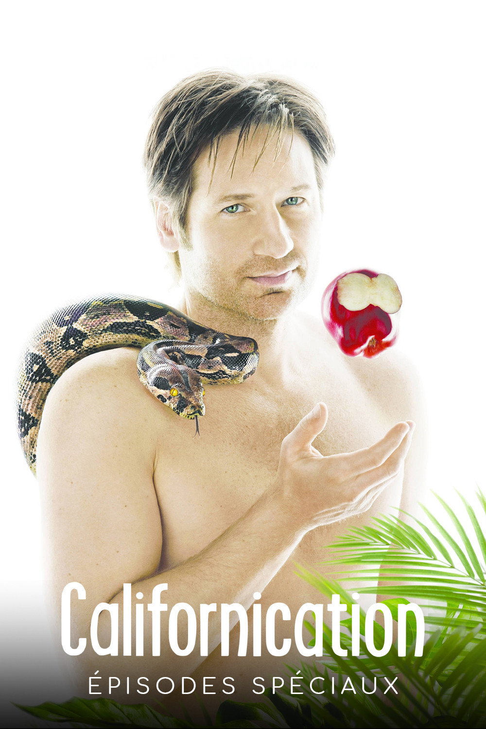 Californication (Specials)