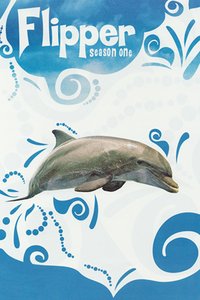 Flipper Season 1