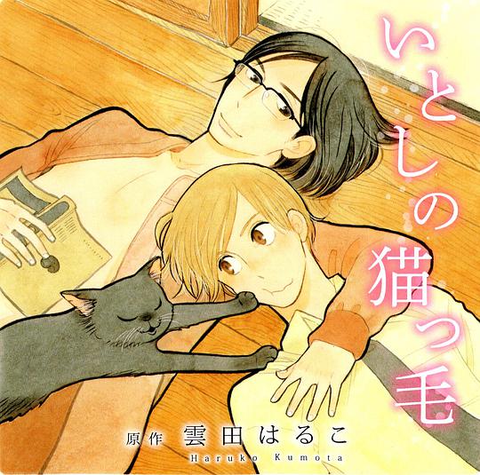 猫毛般的可爱软发 / 心爱的猫咪情人