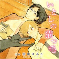 猫毛般的可爱软发 / 心爱的猫咪情人