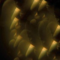 Music From Likely Stories