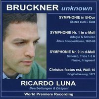 Bruckner Unknown by Ricardo Luna