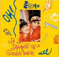 JaJa Jammin On A Groovy Wave