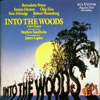Into the Woods