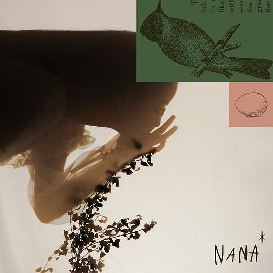 NANA Ⅱ