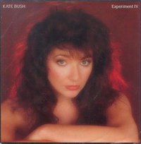 Experiment IV