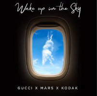 Wake Up In The Sky