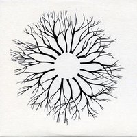 Live From The Royal Festival Hall