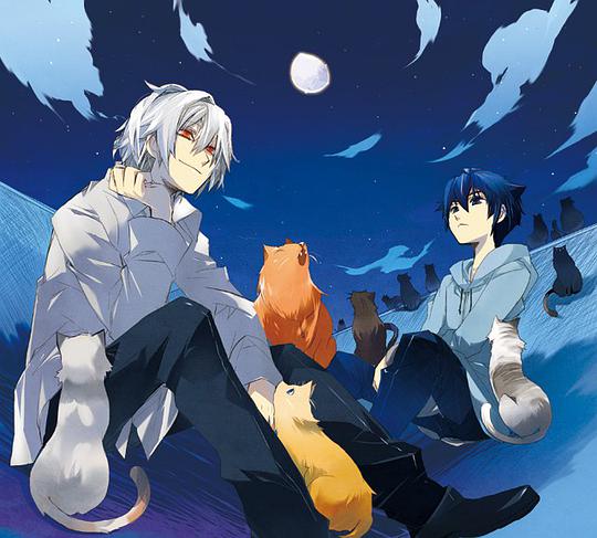 丸川くん家の猫たち