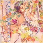 スニーカーCDコレクション きみにしか聞こえない CALLING YOU