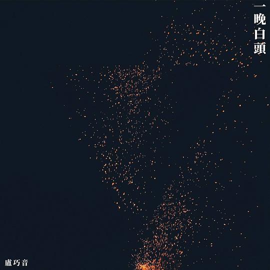 一晚白头（Rock Version）