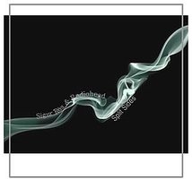 Split Sides（(Live in Brooklyn - 2003）