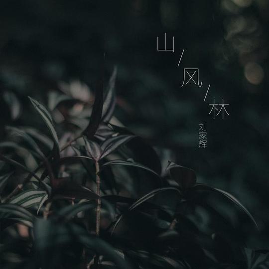 山风林