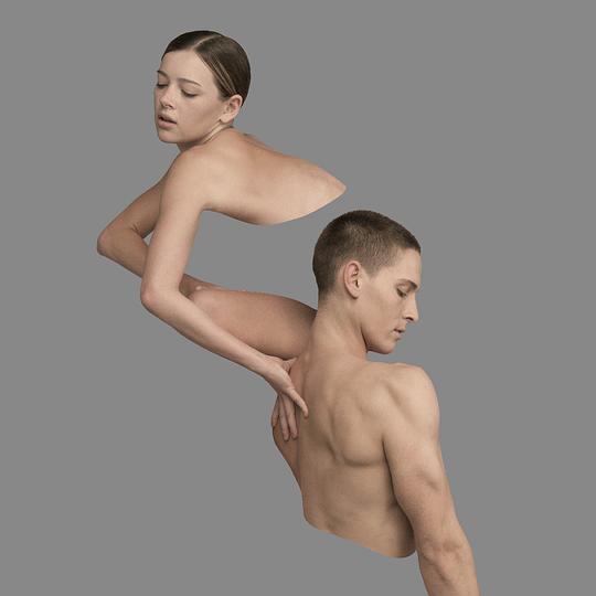 Dessner: Impermanence/Disintegration