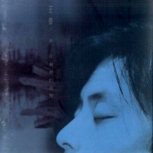 梦在无梦的夜里