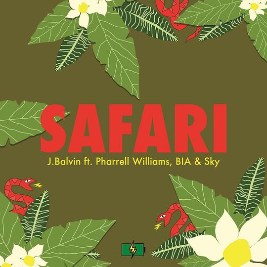 Safari