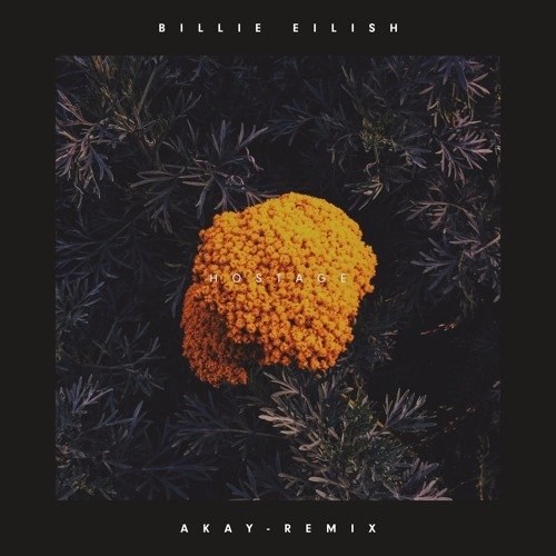 Hostage (AKAY Remix)