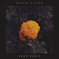 Hostage (AKAY Remix)