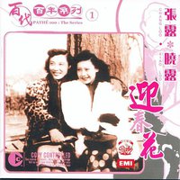 百代百年系列 1 - 迎春花