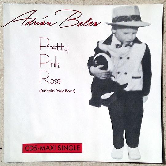Pretty Pink Rose