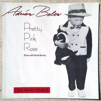Pretty Pink Rose