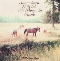 Sometimes I Wish We Were An Eagle [Vinyl]