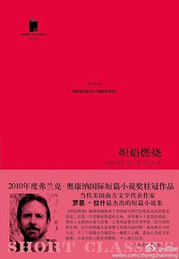 炽焰燃烧 (人民文学出版社 2011)