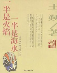 一半是火焰一半是海水 (中国电影出版社 2004)