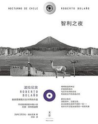 智利之夜 (上海人民出版社 2018)