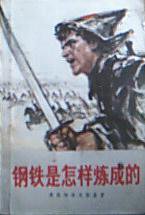 钢铁是怎样炼成的 (人民文学出版社 1976)