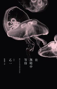 在黑暗中等待 (广西师范大学出版社 2014)