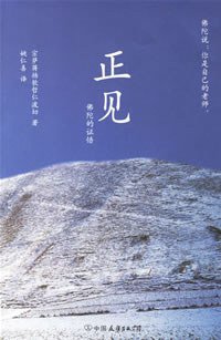 正见 (中国友谊出版公司 2007)
