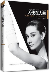 天使在人间 (陕西师范大学出版社 2005)