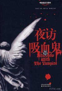 夜访吸血鬼 (译林 2007)