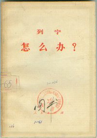 怎么办 (人民出版社 1965)