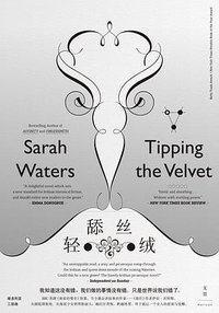 轻舔丝绒 (上海人民出版社 2017)