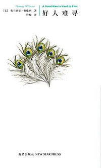 好人难寻 (新星出版社 2010)