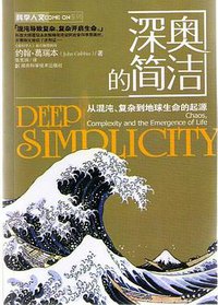 深奥的简洁 (湖南科学技术出版社 2008)