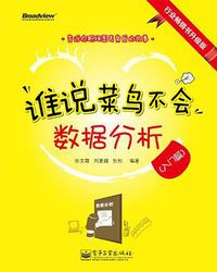 谁说菜鸟不会数据分析 (电子工业出版社 2013)