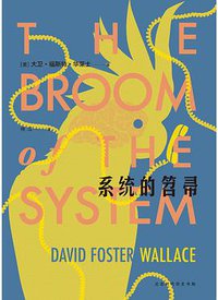 系统的笤帚 (北京时代华文书局 2018)