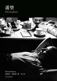 遥望 (人民文学出版社 2010)