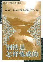 钢铁是怎样炼成的 (北京燕山出版社 2003)