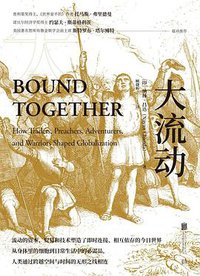 大流动 (低音 • 北京联合出版公司 2021)