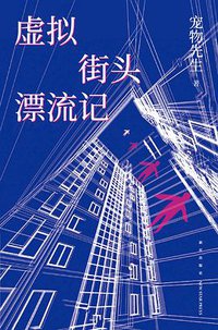 虚拟街头漂流记 (新星出版社 2020)