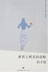 世界上所有的夜晚 (上海人民出版社 2008)