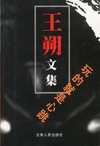 玩的就是心跳 (云南人民出版社 2002)